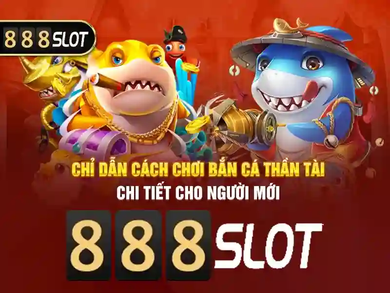 Khuyến mãi và thanh toán