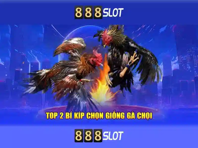 An toàn và thanh toán