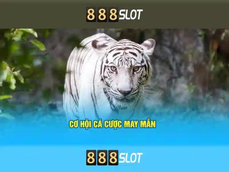 Khuyến mãi và cách nhận thưởng