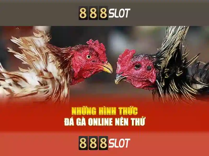 Cách tham gia và rút tiền\n