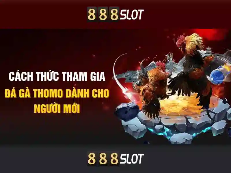 888slot: Đánh giá và trải nghiệm trên nền tảng chơi slot trực tuyến