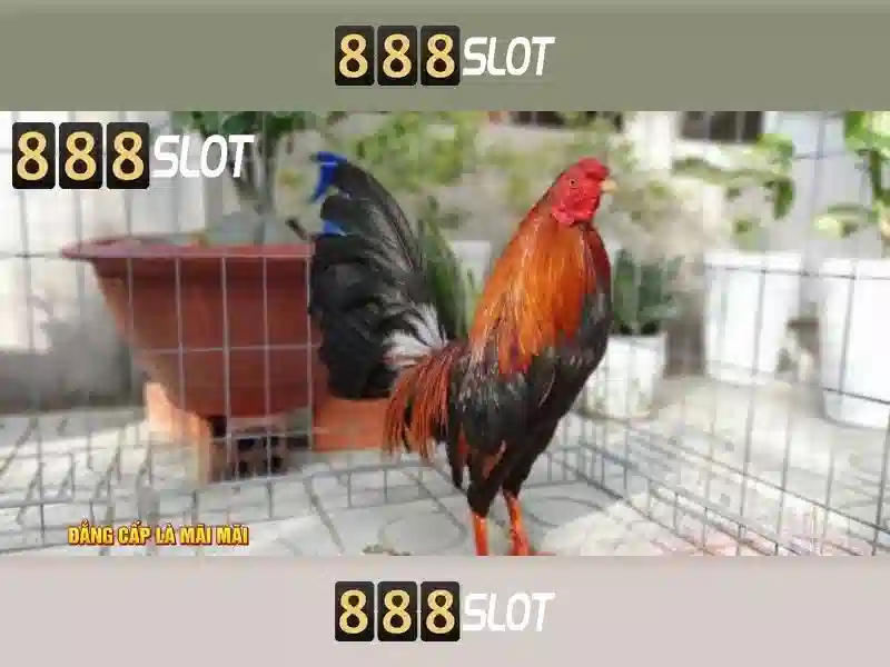 888slot: Đánh giá nền tảng slot và casino trực tuyến