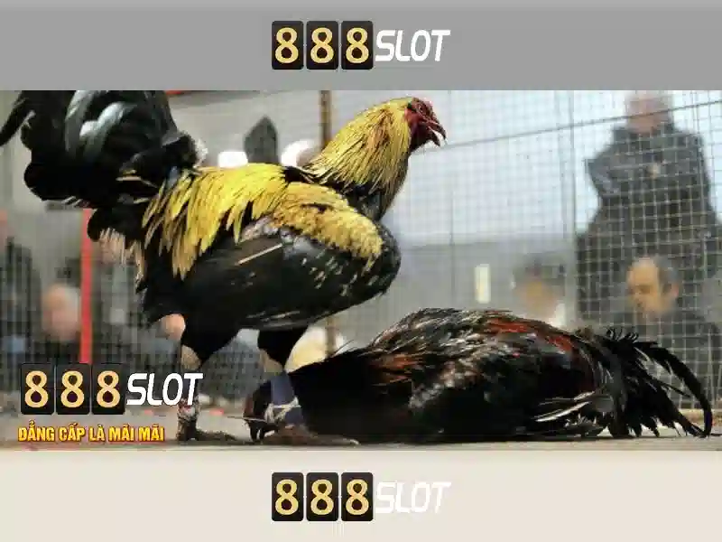 An toàn và công bằng tại 888slot