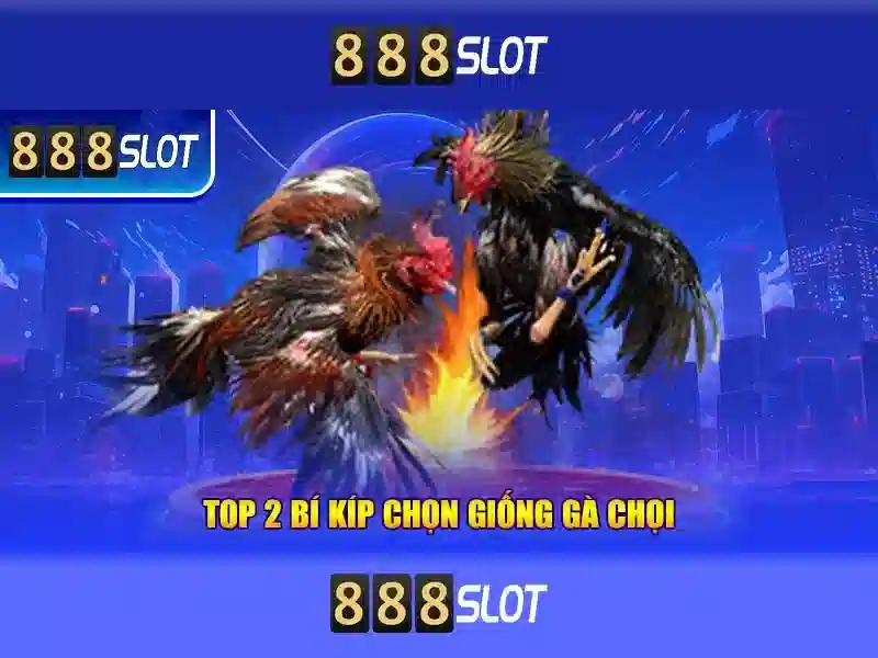 888slot: Trải nghiệm chơi slot đỉnh cao