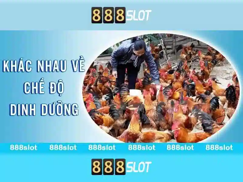 Tính năng nổi bật