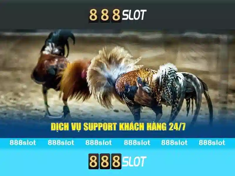 888slot: Nền tảng slot trực tuyến tại Việt Nam