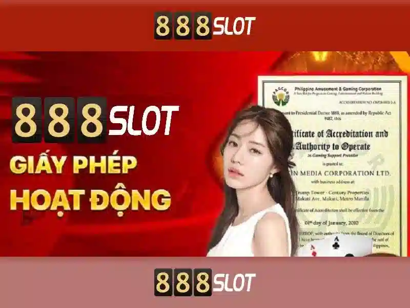 Nền tảng và giao diện người dùng\n