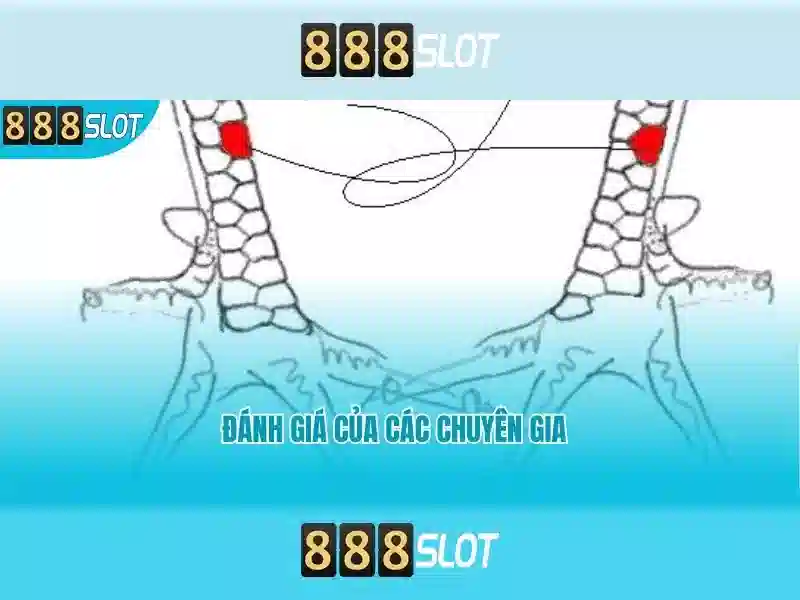 888slot - Nền tảng slot trực tuyến đáng tin cậy cho người chơi Việt