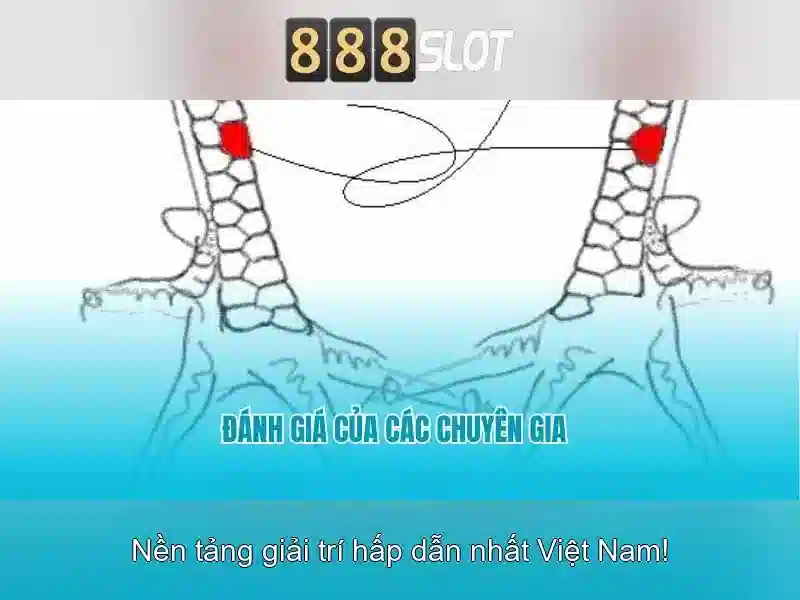 Kết luận và lời khuyên cho người chơi Việt Nam