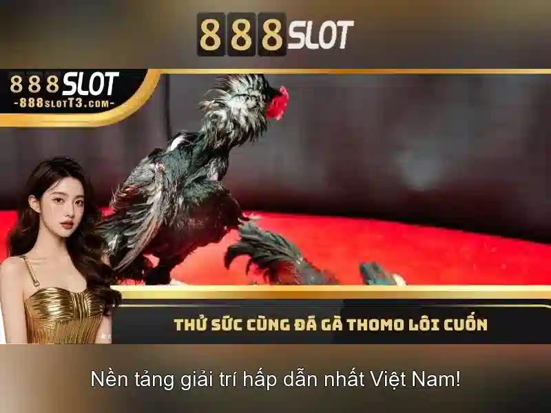 Cài đặt và trải nghiệm người chơi