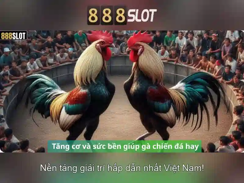 888slot - Đánh giá và trải nghiệm nền tảng đánh bạc trực tuyến
