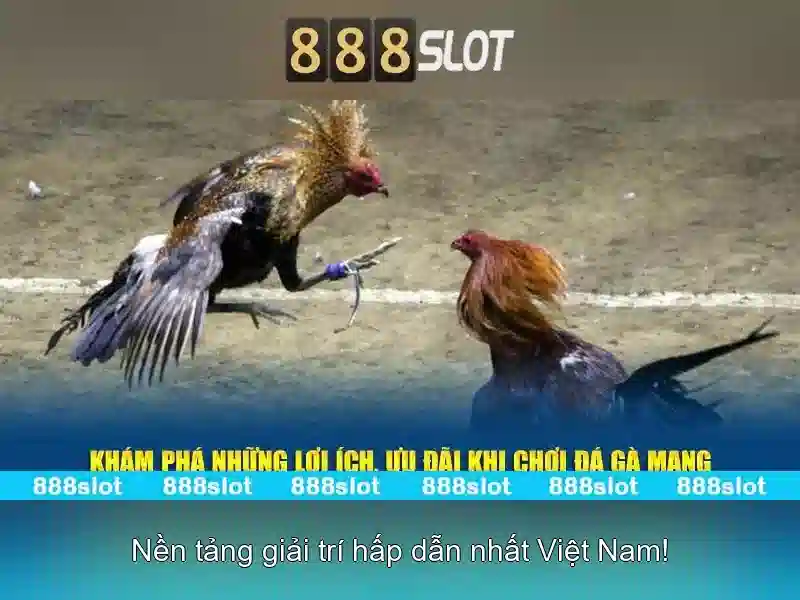 tổng quan jd 888 slot và giá trị cốt lõi