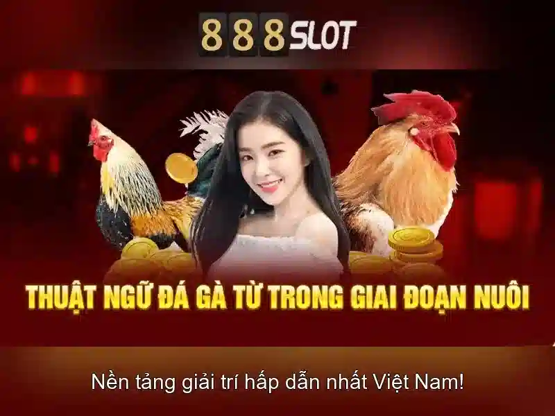 888slot - Nền tảng chơi slots trực tuyến