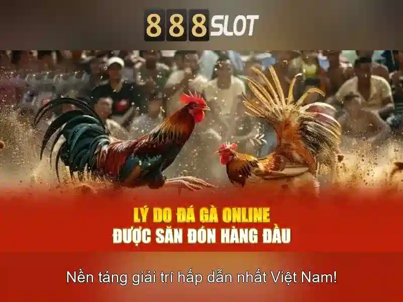 888slot: Khám phá nền tảng đánh bạc trực tuyến uy tín