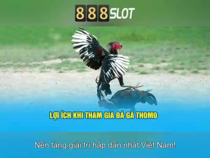 Ưu điểm của 888slot