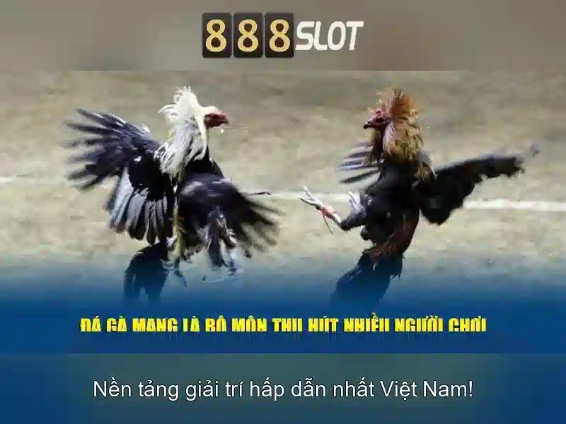 888slot: Đánh giá tổng quan về nền tảng slot trực tuyến